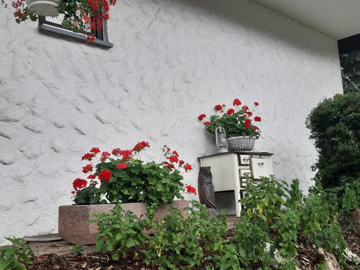 Ferienapartment Karle Nordrach Екстериор снимка